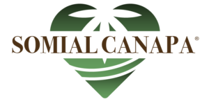 Somial Canapa | Produzione, blog e commercializzazione prodotti derivati dalla canapa
